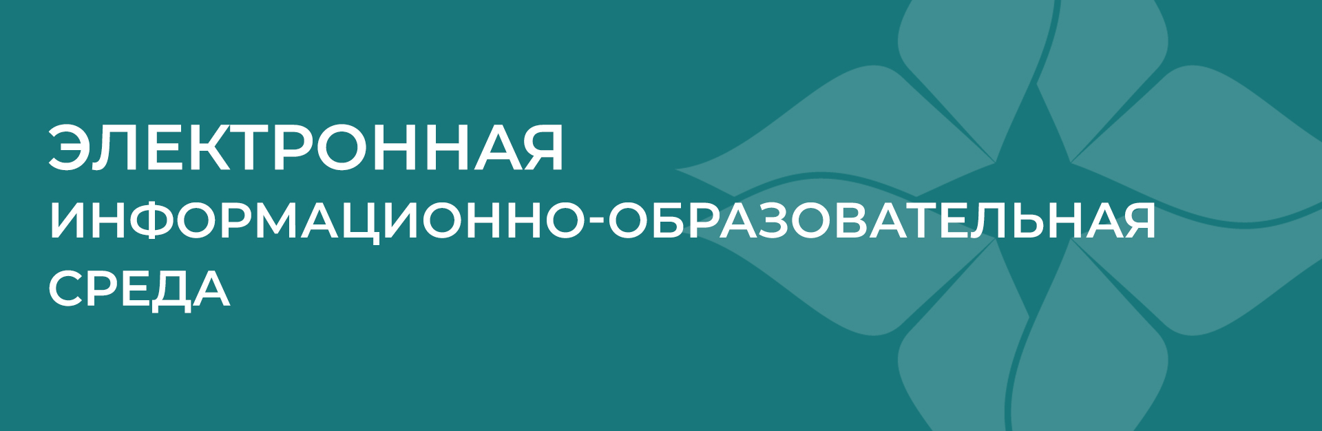 Электронная информационно-образовательная среда